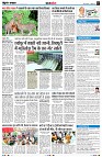page7