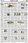 Page8